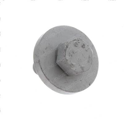 Picture of Bolt
