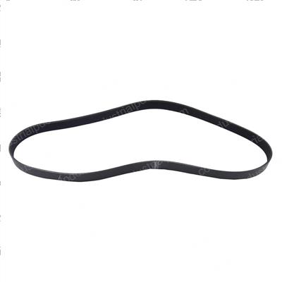 Picture of Belt - Serpentine