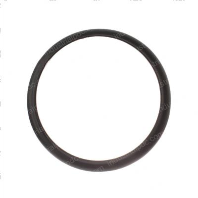 Picture of Ring - Side 10"