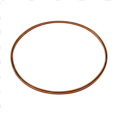 Picture of Seal - Ucup