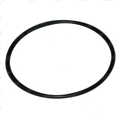 Picture of O-Ring