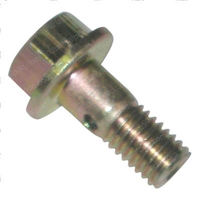 Picture of Banjo Bolt