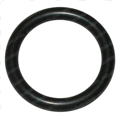 Picture of O-Ring