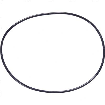 Picture of O-Ring