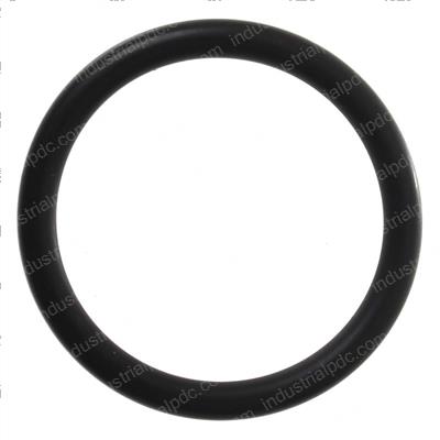 Picture of O-Ring