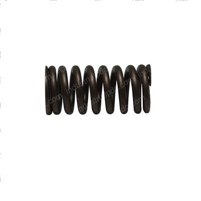 Picture of Spring - Valve