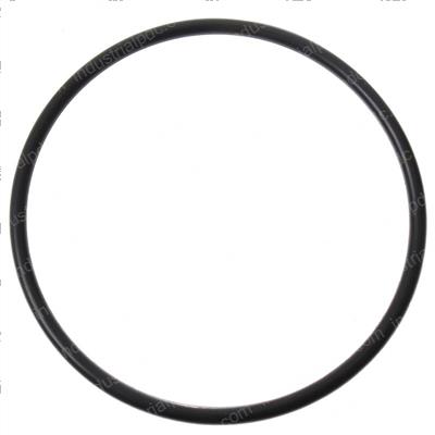 Picture of O-Ring