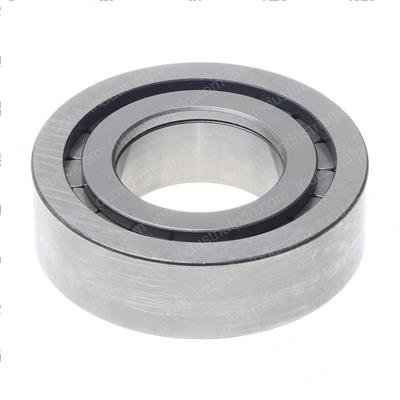 Picture of Roller Bearing- Plain