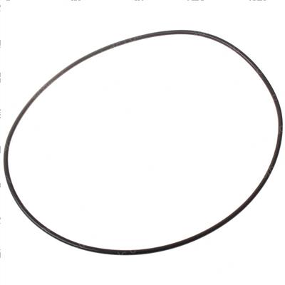 Picture of O-Ring