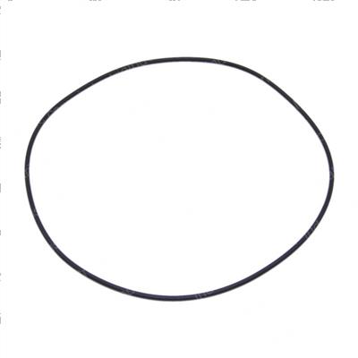 Picture of O-Ring