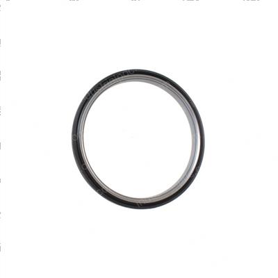 Picture of Seal