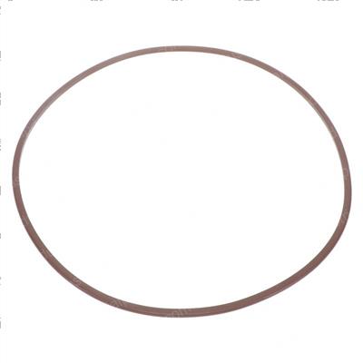 Picture of O-Ring