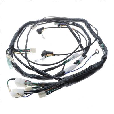 Picture of Harness B