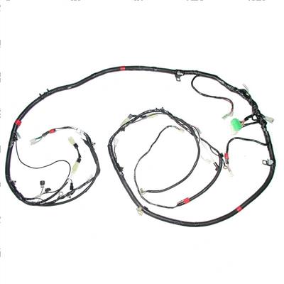 Picture of Harness (b)