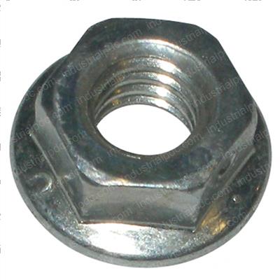 Picture of Nut