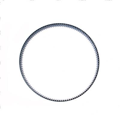 Picture of Belt - Gt Carbon