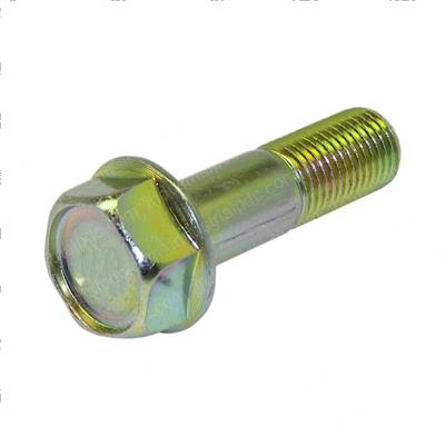 Picture of Bolt - Special