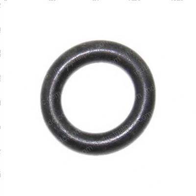 Picture of O-Ring