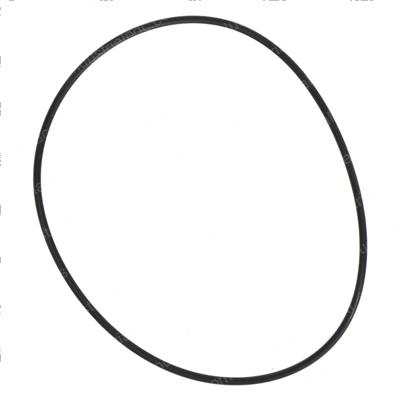 Picture of O-Ring