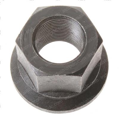 Picture of Nuts-Pack of 40 Lug