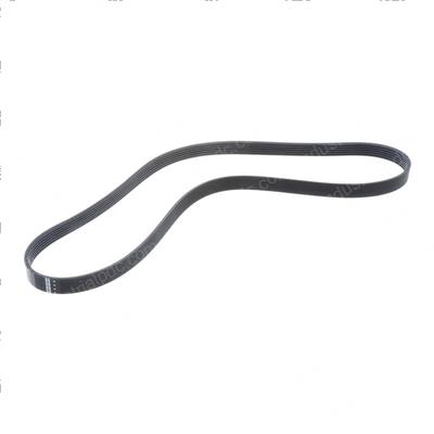 Picture of Belt - Serpentine