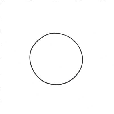 Picture of O-Ring