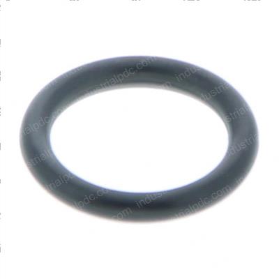 Picture of O-Ring