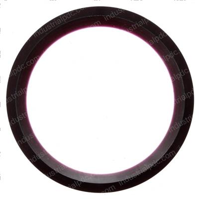 Picture of Wiper Ring