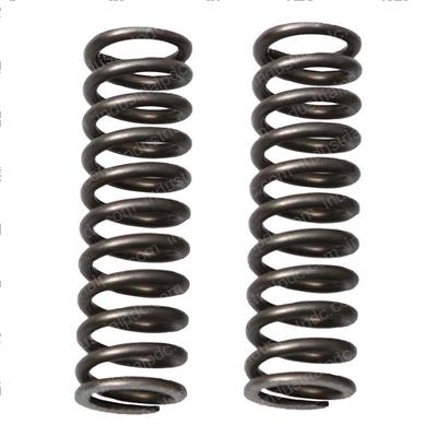 Picture of Spring Heavy