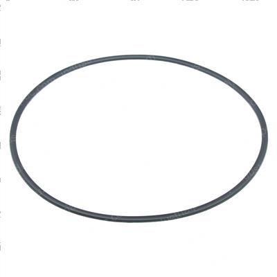 Picture of Seal