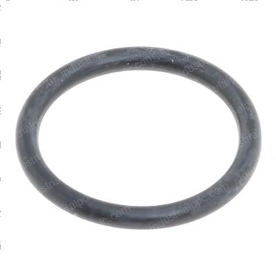 Picture of O-Ring