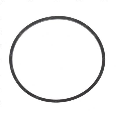 Picture of O-Ring