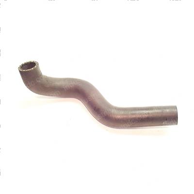 Picture of Hose - Radiator Lower