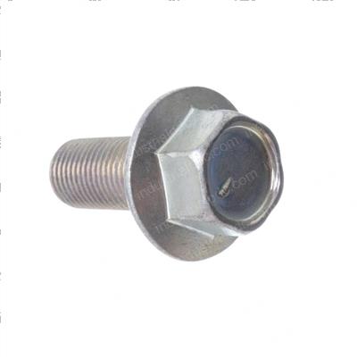 Picture of Bolt - Flange