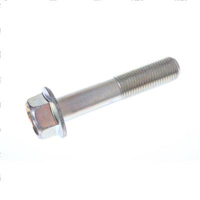 Picture of Bolt - Hex Flange