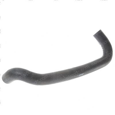Picture of Hose Lower Radiator