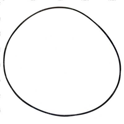 Picture of O-Ring