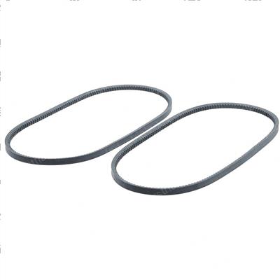 Picture of Belt - Set of 2