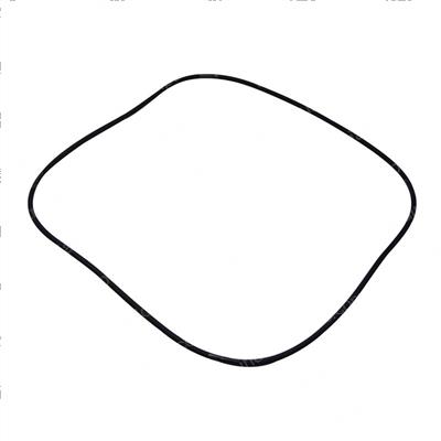 Picture of O-Ring