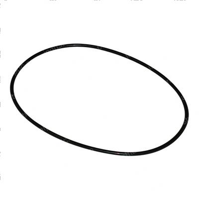 Picture of O-Ring