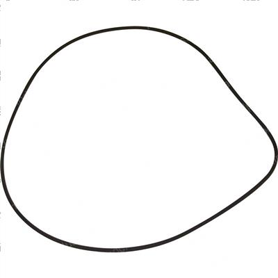 Picture of O-Ring