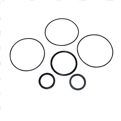 Picture of Seal Kit - Orbitrol