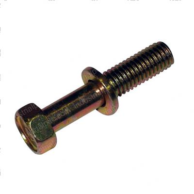 Picture of Bolt