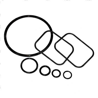 Picture of Seal Kit-O Ring
