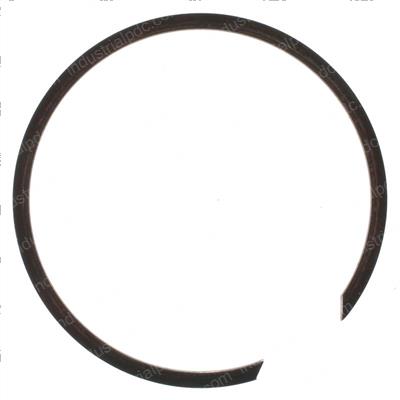 Picture of Ring-Snap