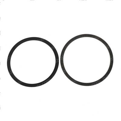 Picture of Seal Kit-Orbitrol