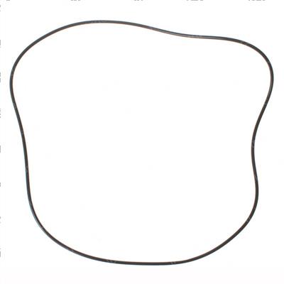 Picture of O-Ring