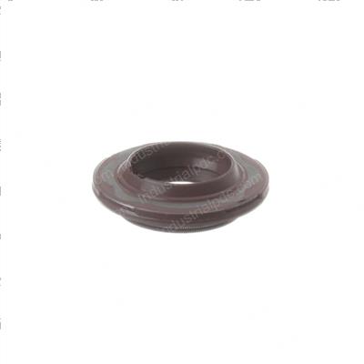 Picture of Seal - Oil
