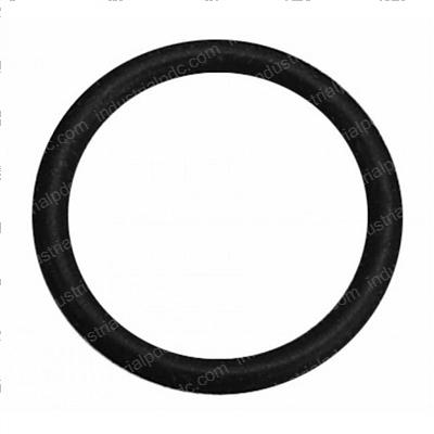 Picture of O-Ring