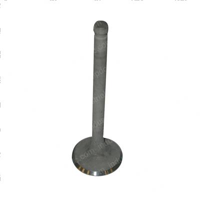 Picture of Valve - Exhaust